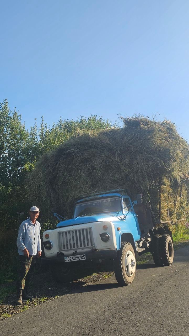 Местный житель на дороге между Кабанбаем и Лепсинском..jpg