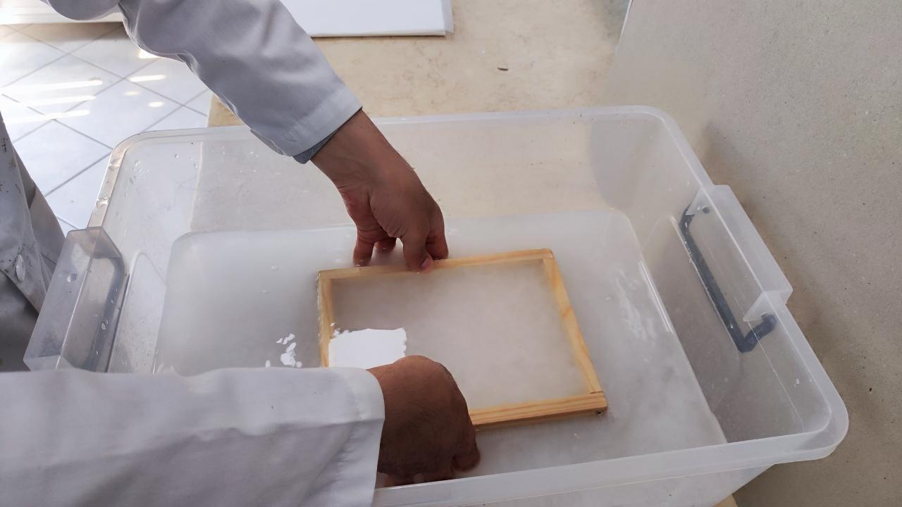 НП-46-Прохоров-Секреты Вечности В НП - ФОТО.jpg