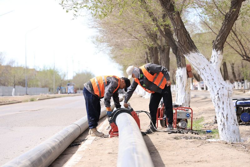 Шипунов Балхаш (4).jpg