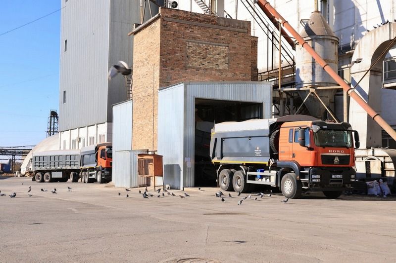 Шипунов масло (4).jpg