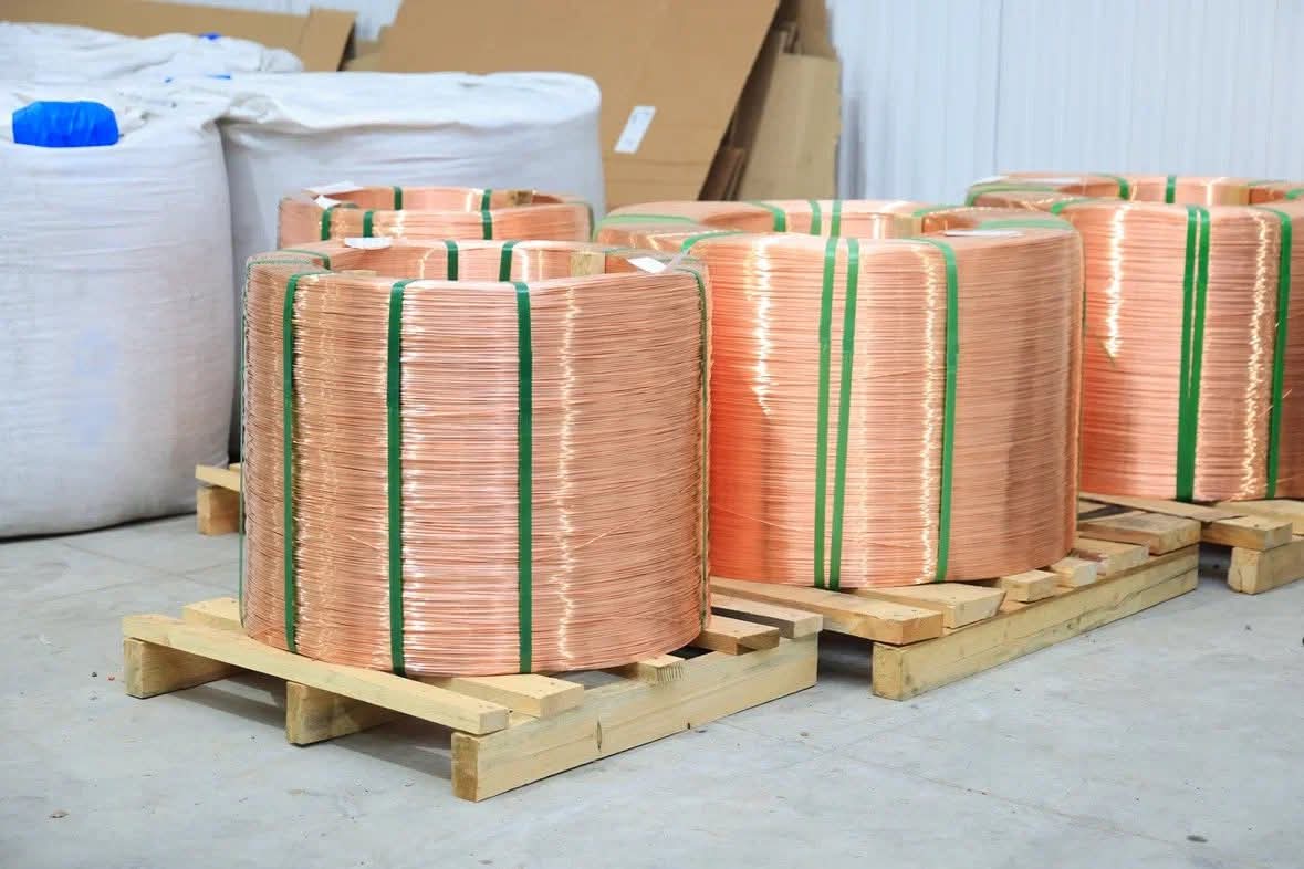 Шипунов вольфрам (2).jpeg