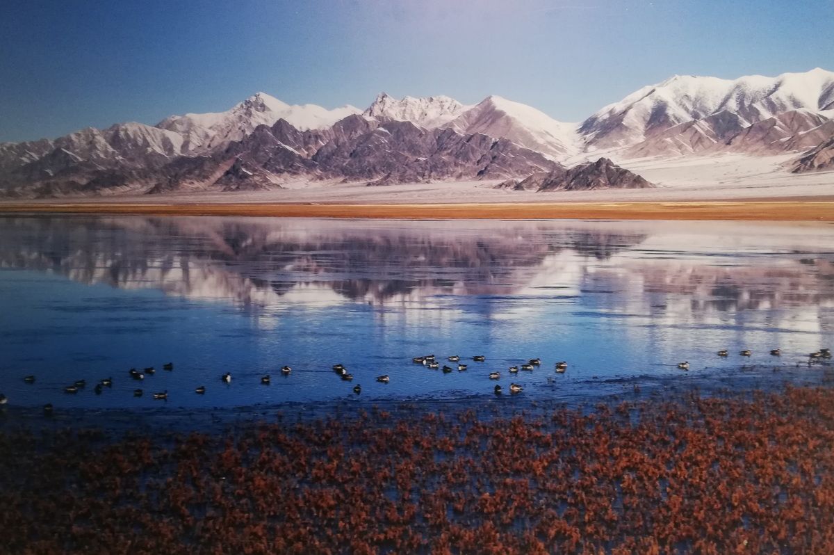 Шишанова культура (1).jpg