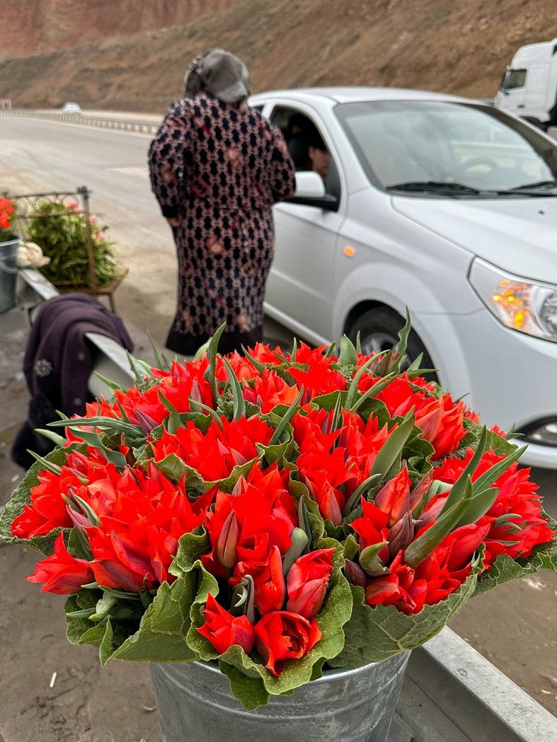Стоимость букета тюльпанов из 15 цветов составляет меньше доллара. Но местные не рекомендуют их покупать, есть риск приобретения кр.jpg