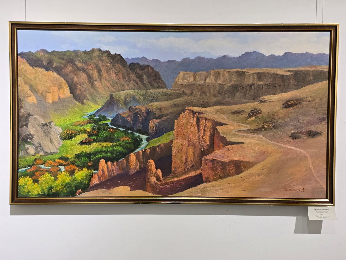 Сыздыкова ЦВЗ (8).jpg