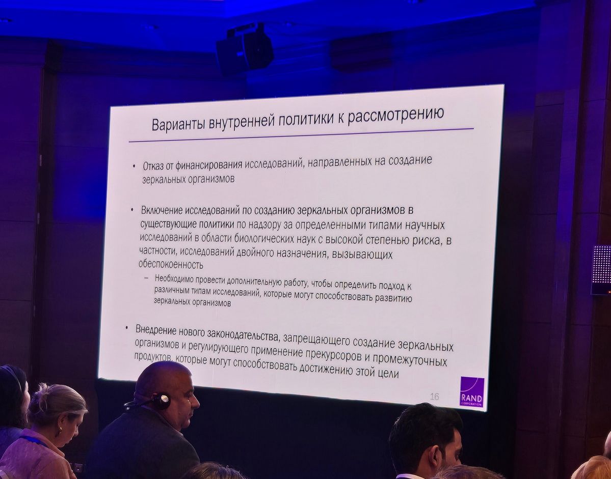 Табаева безопасность (2).jpg