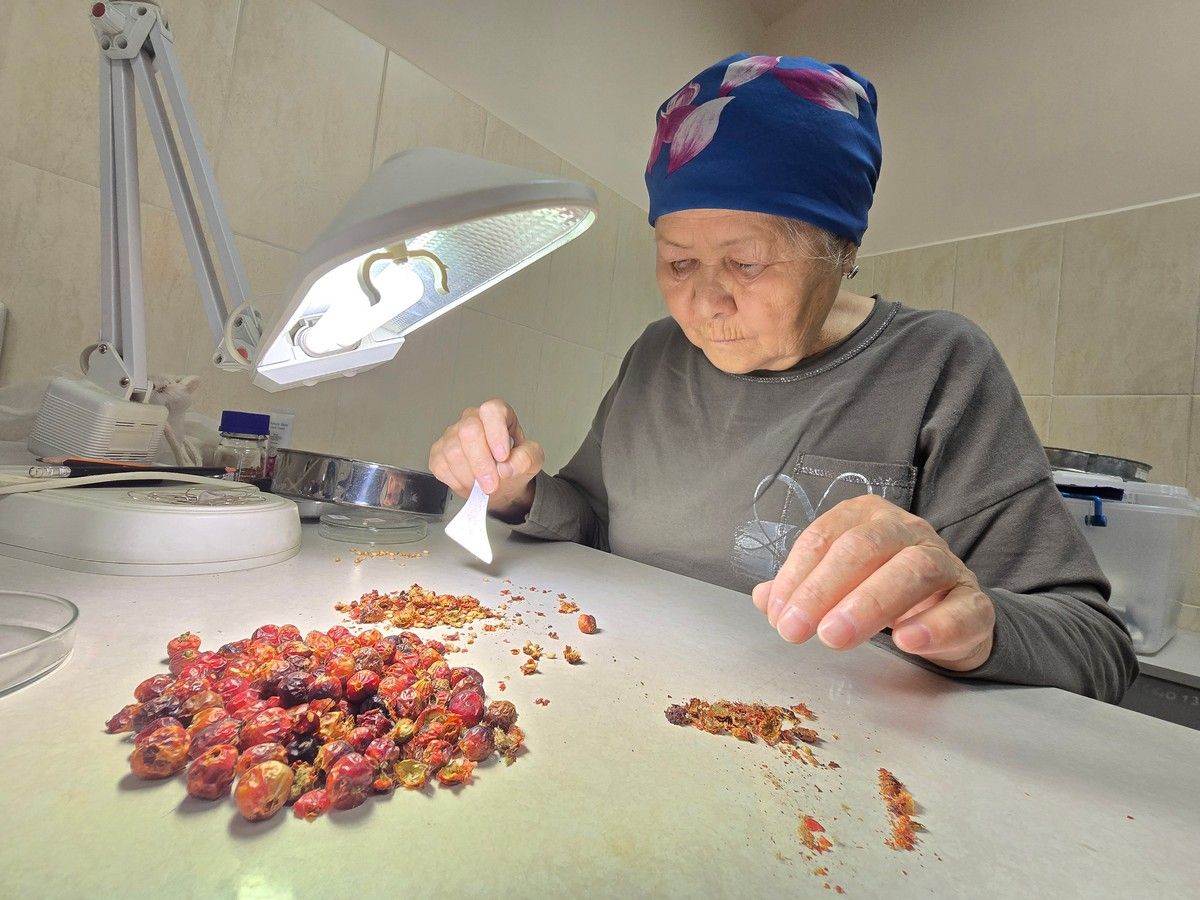 Зорина Ботсад (1).jpg