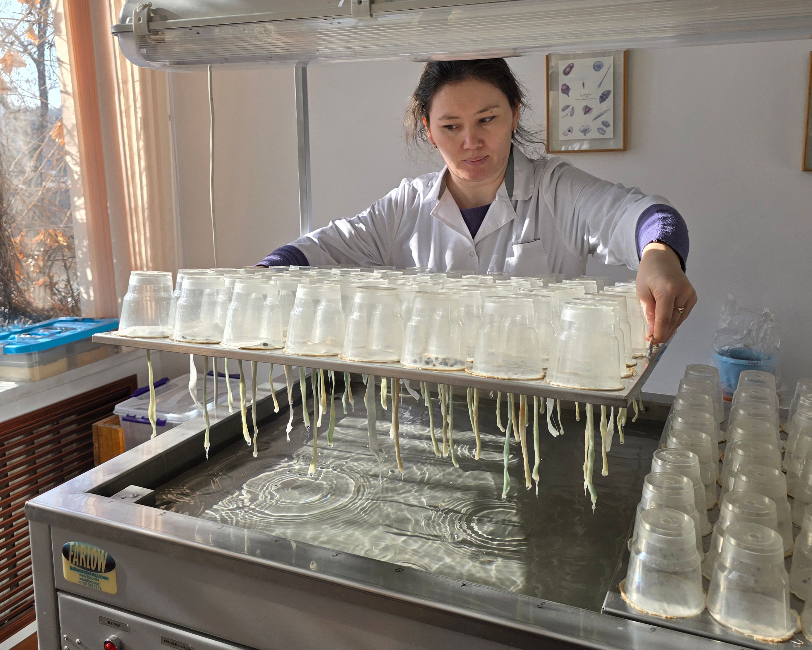 Зорина Ботсад (2).jpg