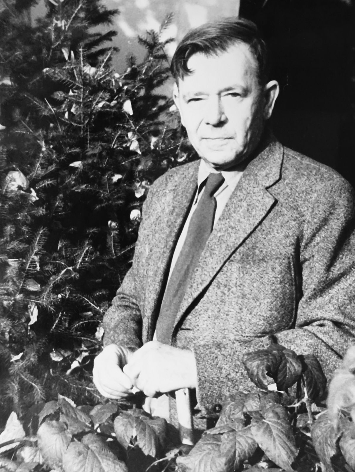  Зверев (4).jpg