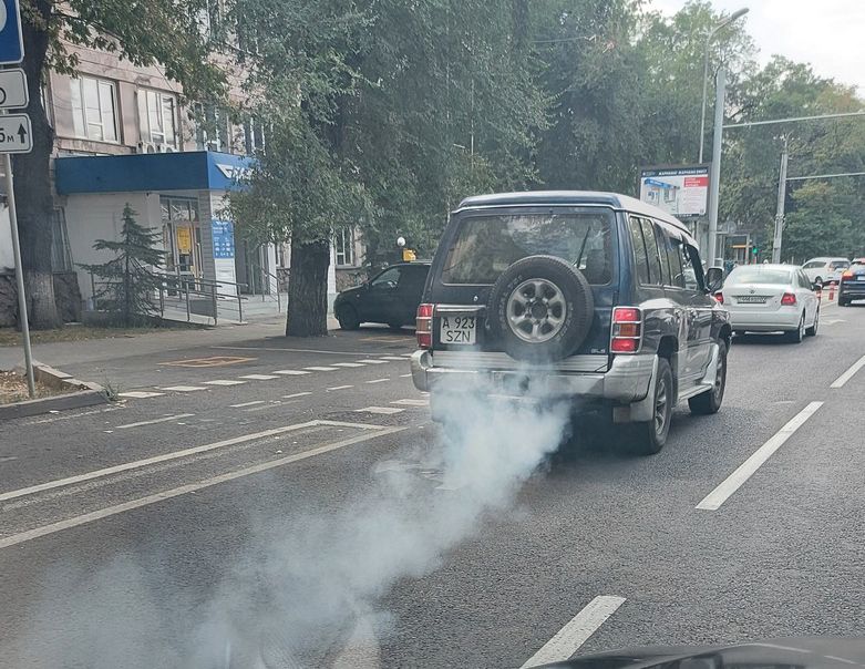 авто (1).jpg
