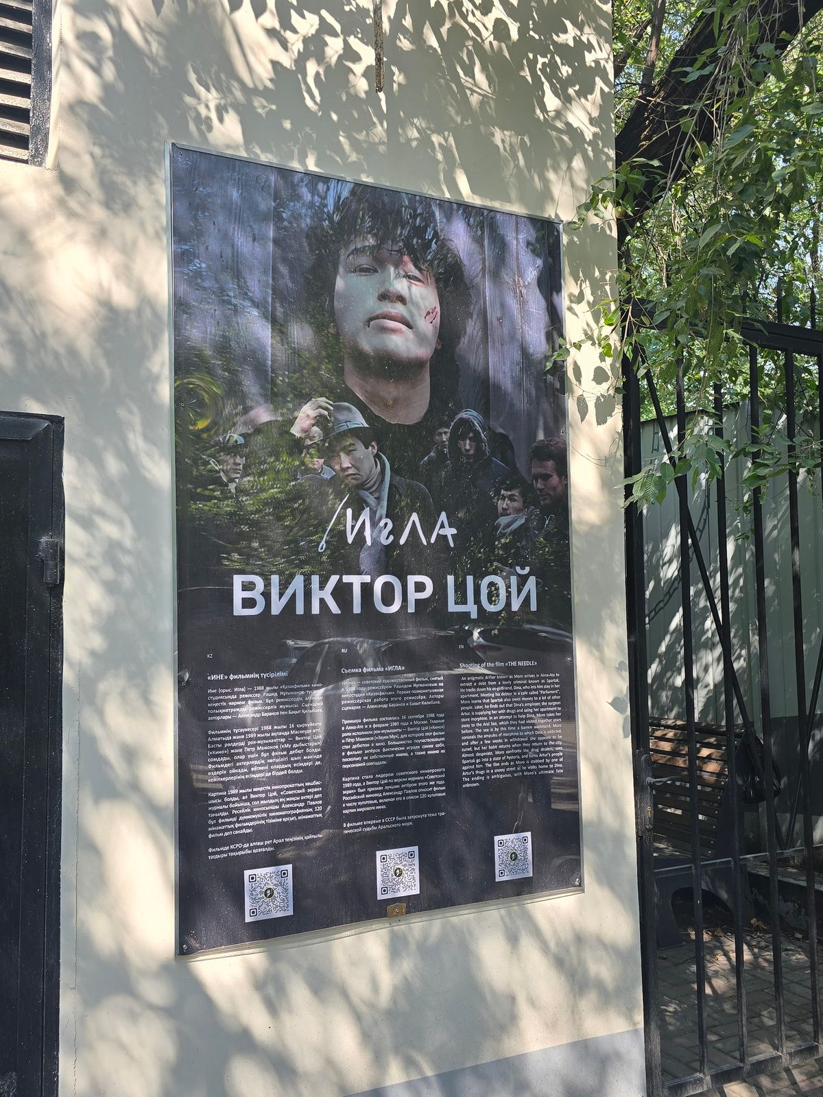 цой_08.jpg