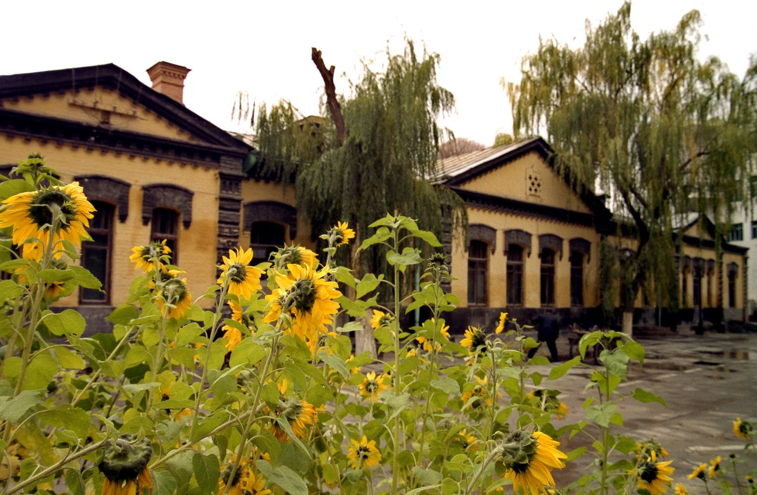 фото Андрея Михайлова. Кашгар 2 (4).jpg