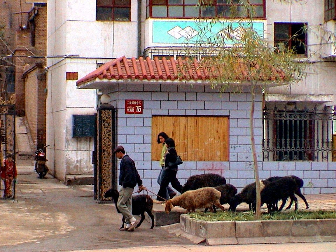 фото Андрея Михайлова. Кашгар 3 (4).JPG