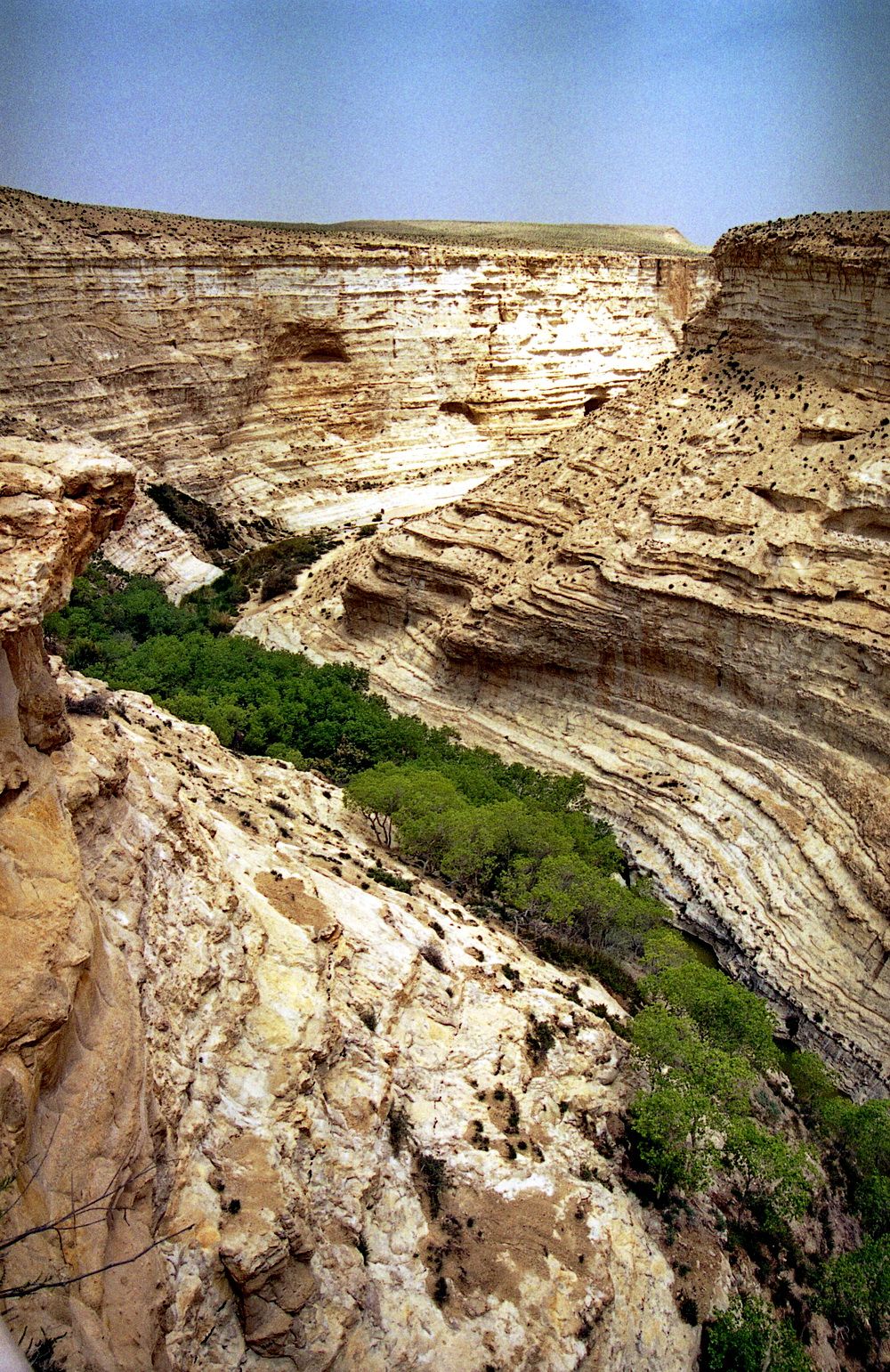 фото Андрея Михайлова. Негев 2 (1).jpg