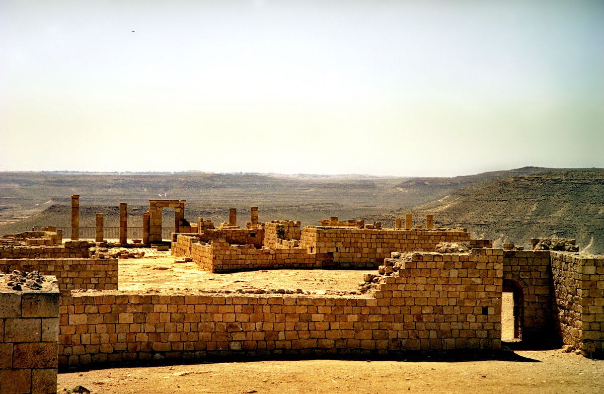 фото Андрея Михайлова. Негев 2 (4).jpg