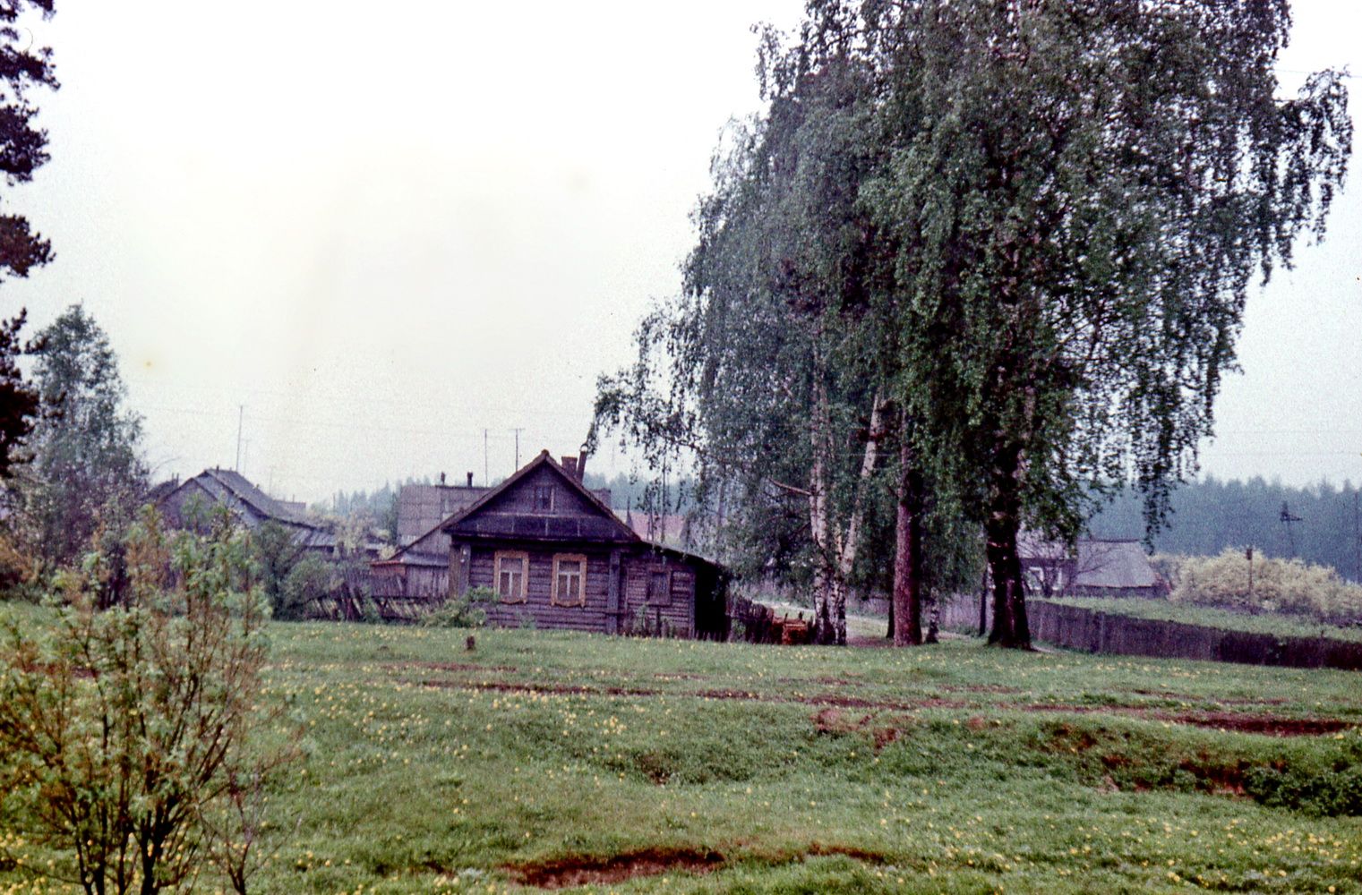 фото Андрея Михайлова. на платформе (3).jpg