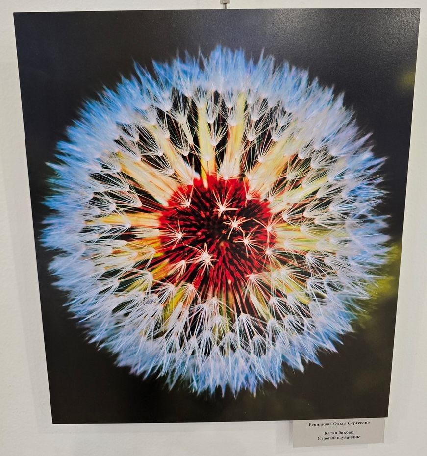 фотовыставка Сыздыкова (4).jpg