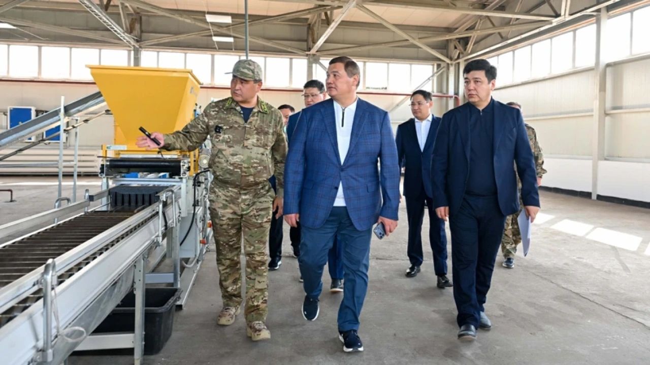 молибден2.jpg