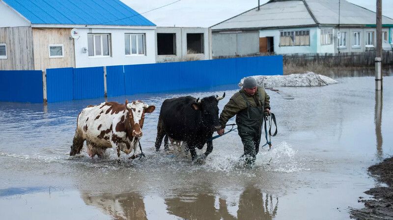 паводки1.jpg