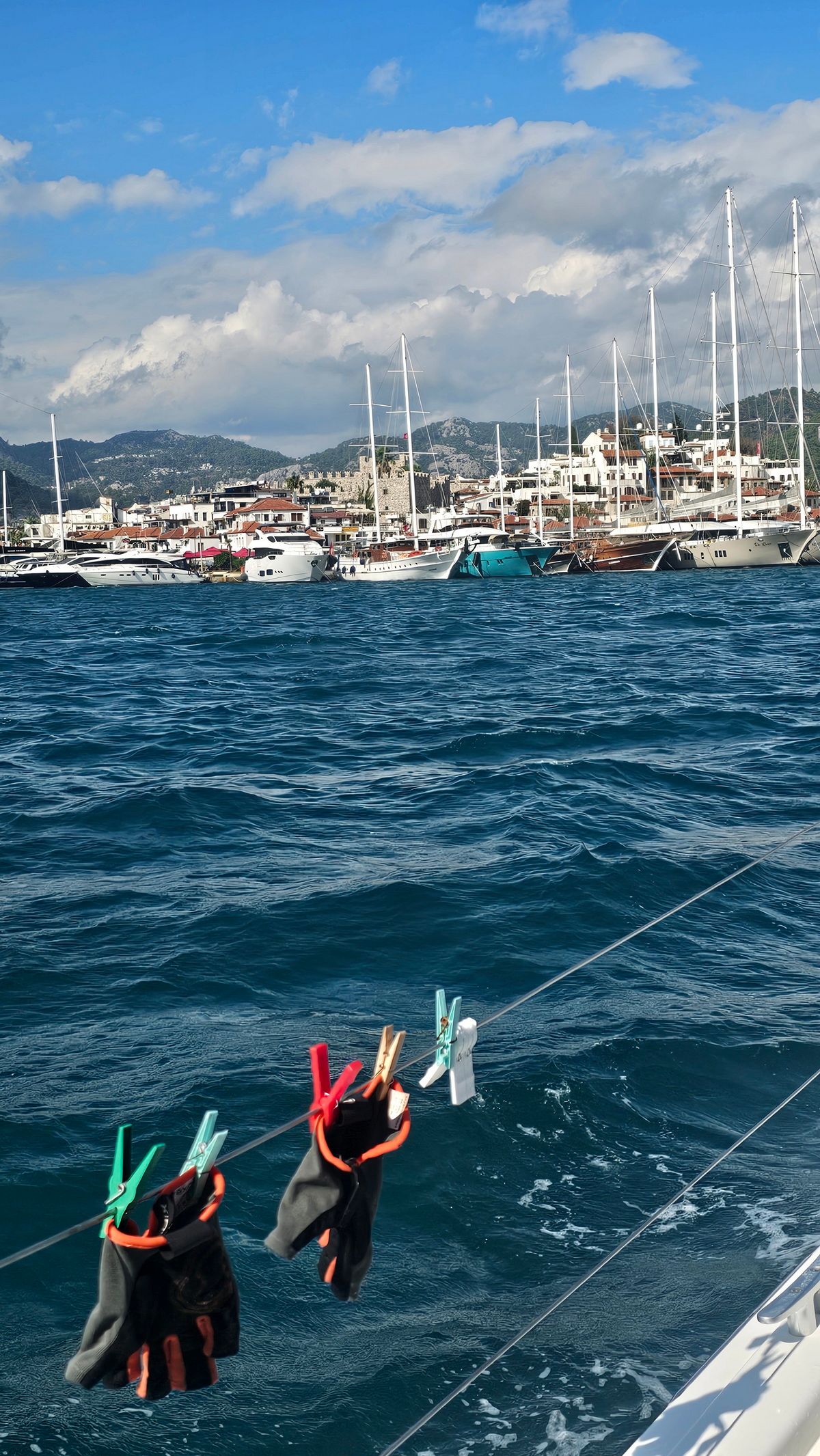 регата (1).jpg