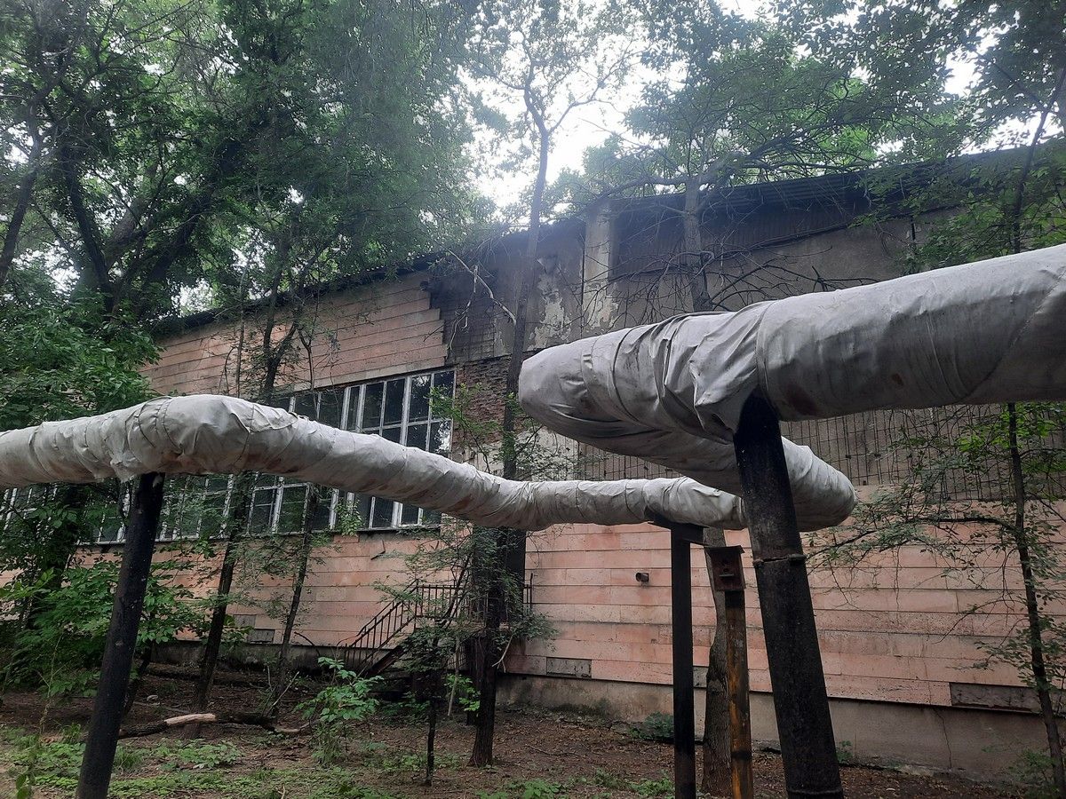 тепло 4.jpg